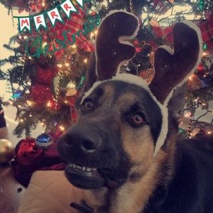 Meet your Posher, Connor